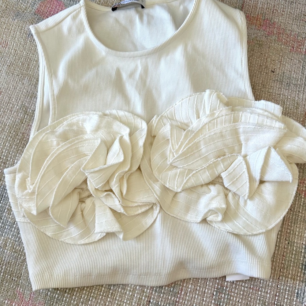 Zara Flower Appliqué Crop Top